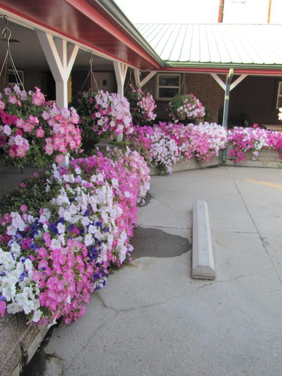 Greybull Motel Exterior photo